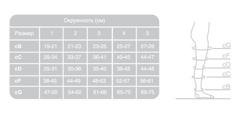 Чулки антиэмболические Ergoforma UP 2 класс компрессии (23-32 мм рт.ст.)